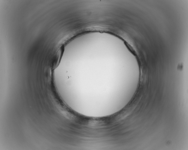 X0000089850109200707262115