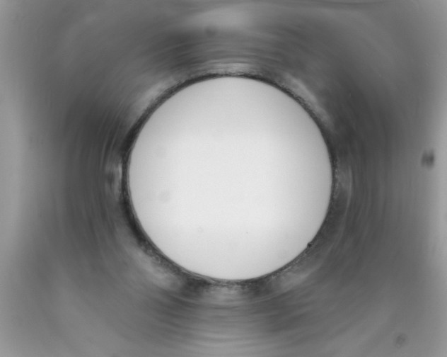 X0000089850110200707262115