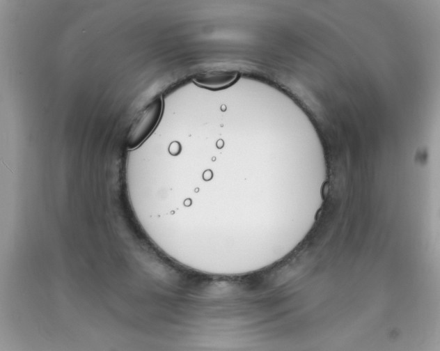 X0000089850111200707262115