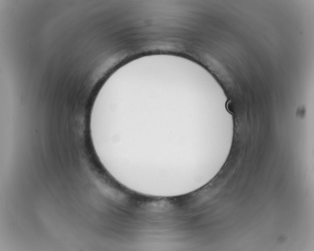 X0000089850112200707262115