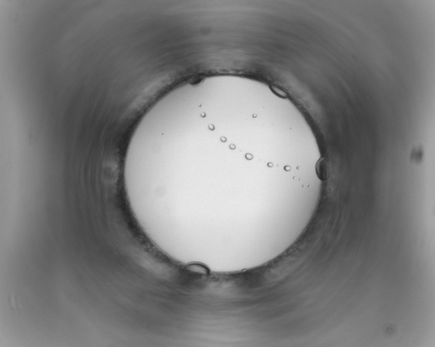 X0000089850113200707262115