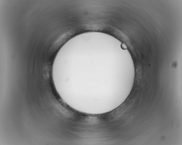 X0000089850114200707262115