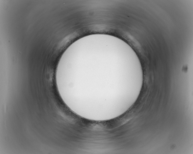 X0000089850115200707262115