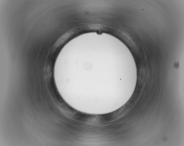 X0000089850116200707262115