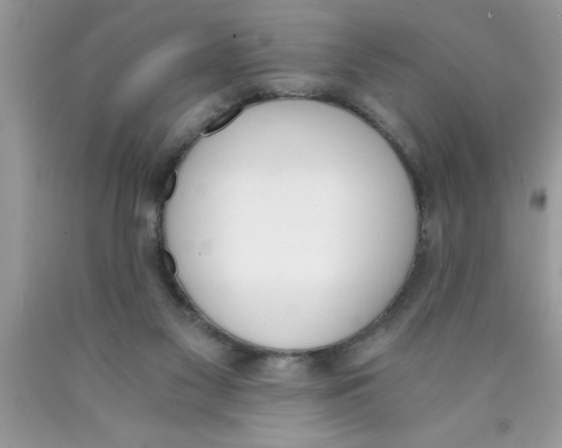 X0000089850117200707262115