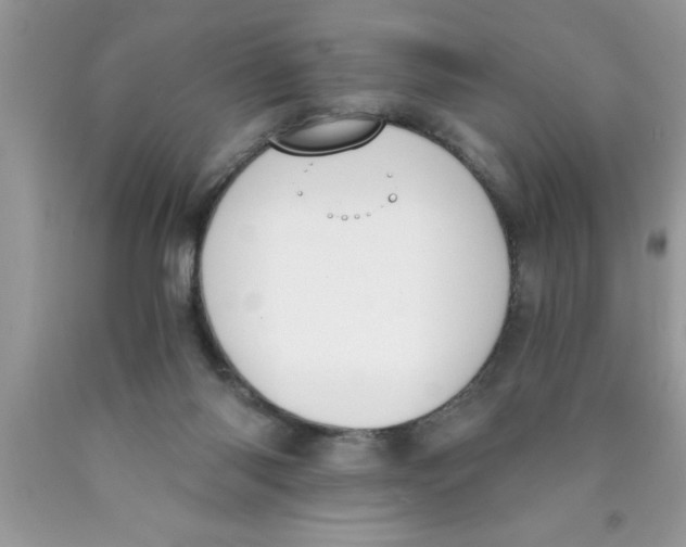 X0000089850118200707262115