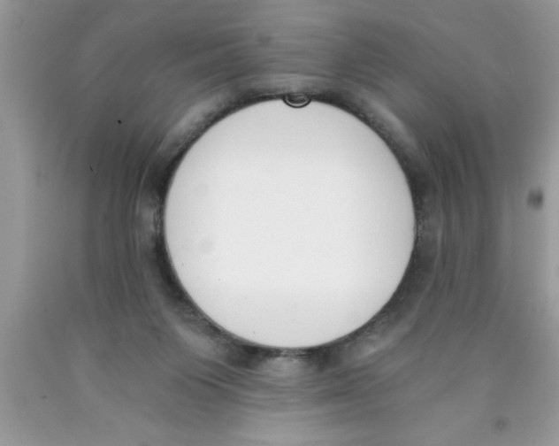 X0000089850119200707262115