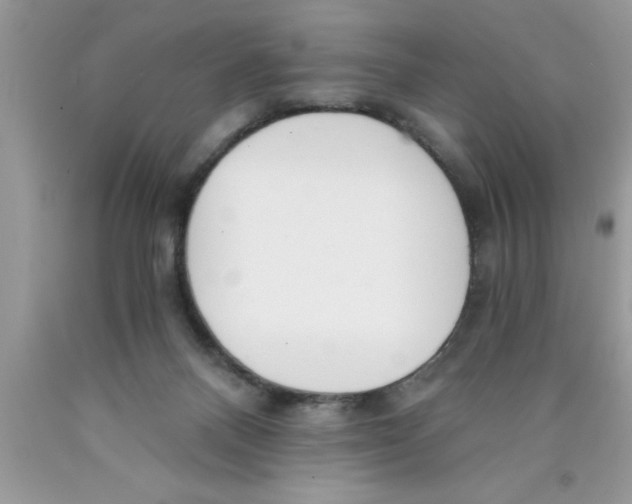 X0000089850120200707262115