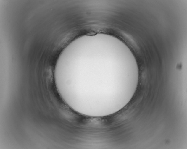 X0000089850121200707262115