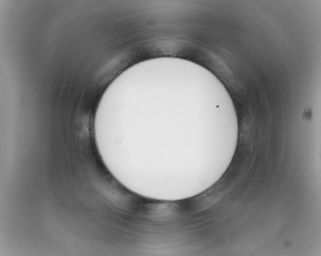 X0000089850122200707262115