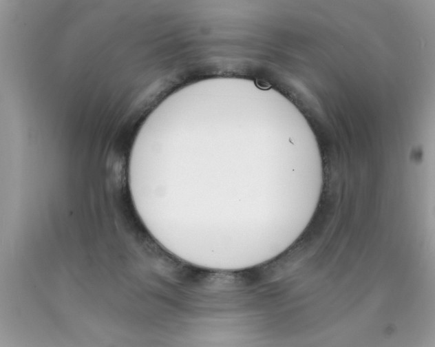 X0000089850123200707262115