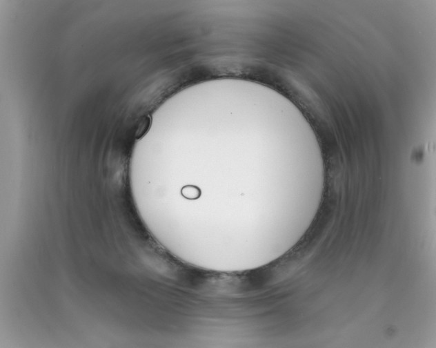 X0000089850125200707262115