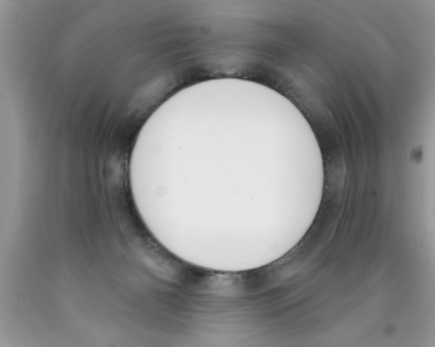 X0000089850126200707262115