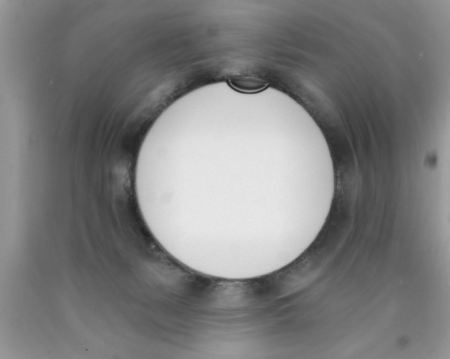 X0000089850127200707262115