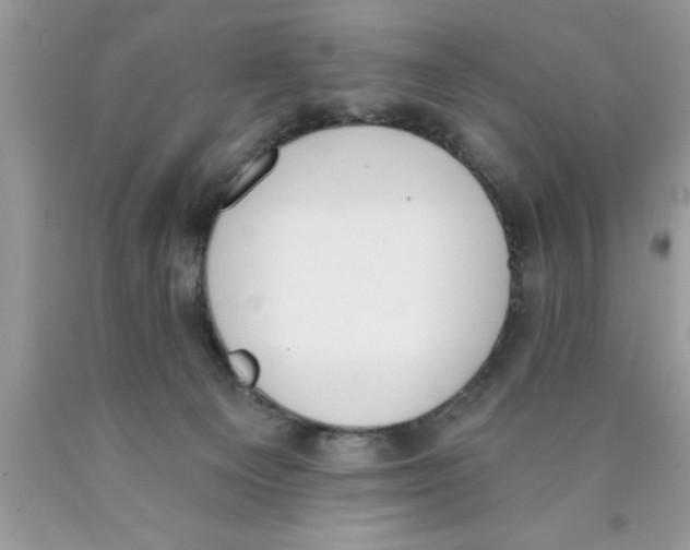 X0000089850129200707262115