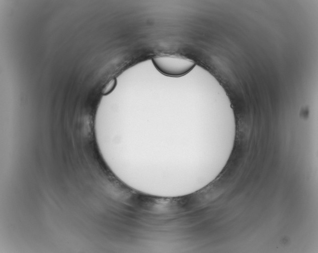 X0000089850130200707262115