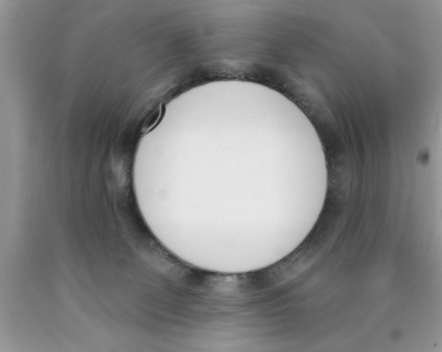 X0000089850131200707262115