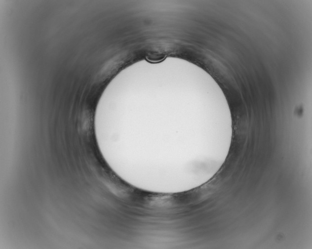 X0000089850132200707262115