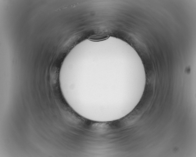 X0000089850133200707262115