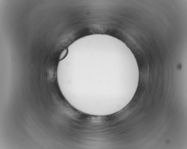 X0000089850134200707262115