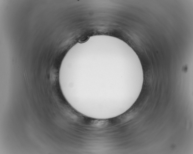 X0000089850135200707262115