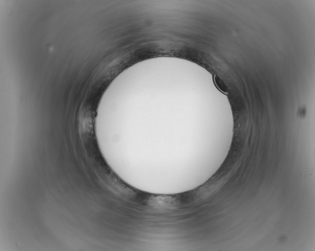 X0000089850137200707262115