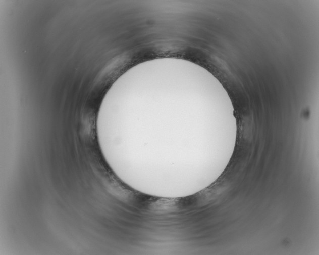 X0000089850138200707262115