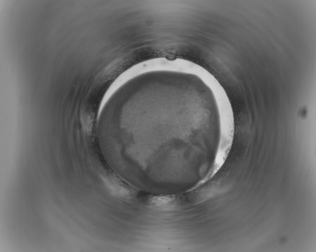 X0000089850139200707262115