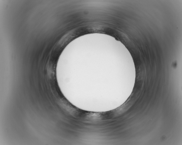 X0000089850140200707262115