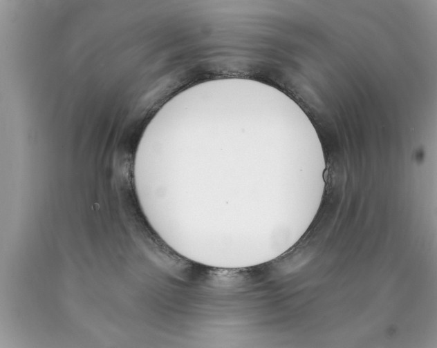 X0000089850141200707262115