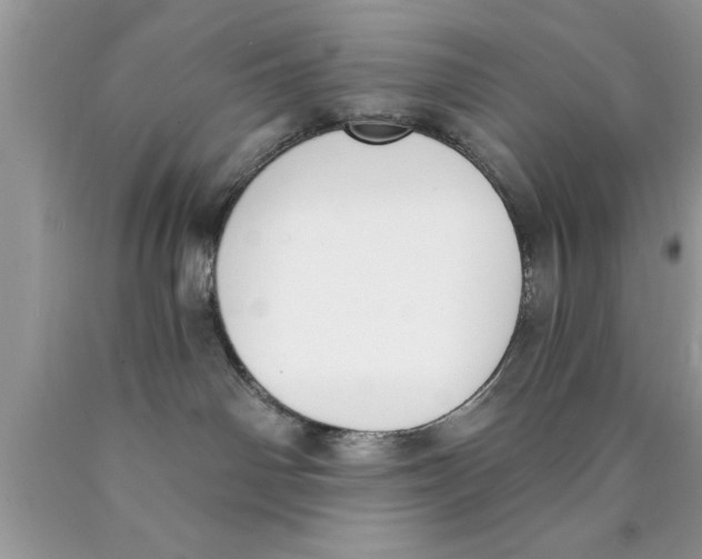 X0000089850142200707262115