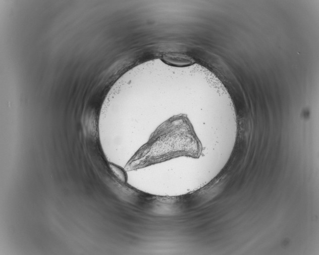 X0000089850143200707262115