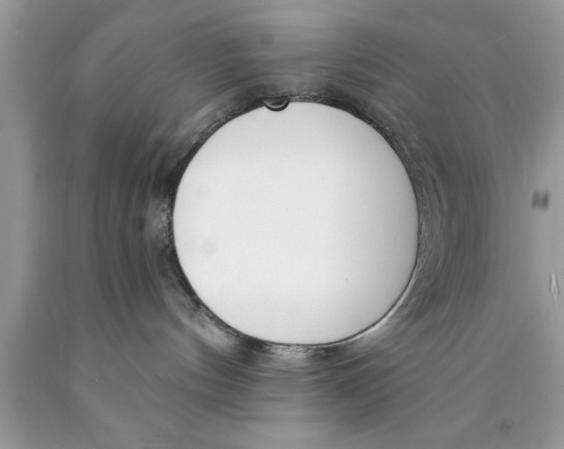 X0000089850144200707262115