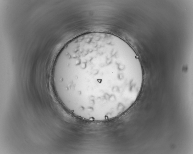 X0000089850145200707262114