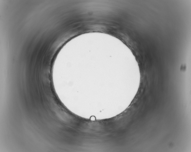 X0000089850146200707262114