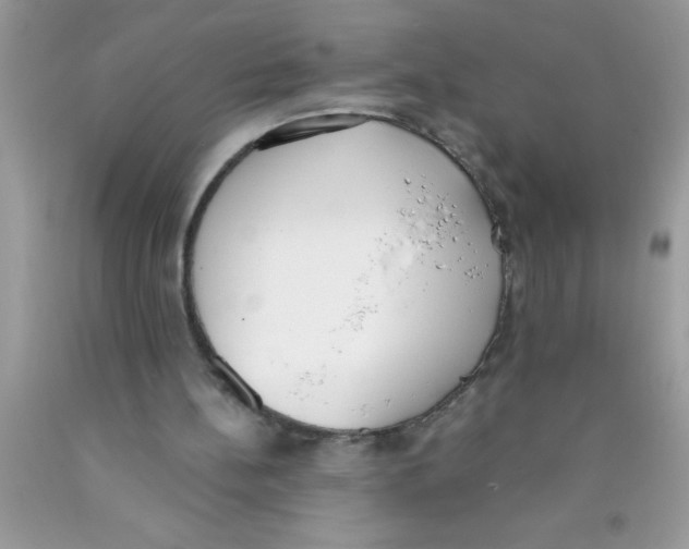 X0000089850148200707262114