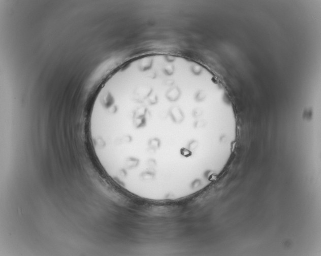 X0000089850149200707262114