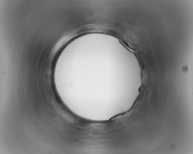 X0000089850150200707262114