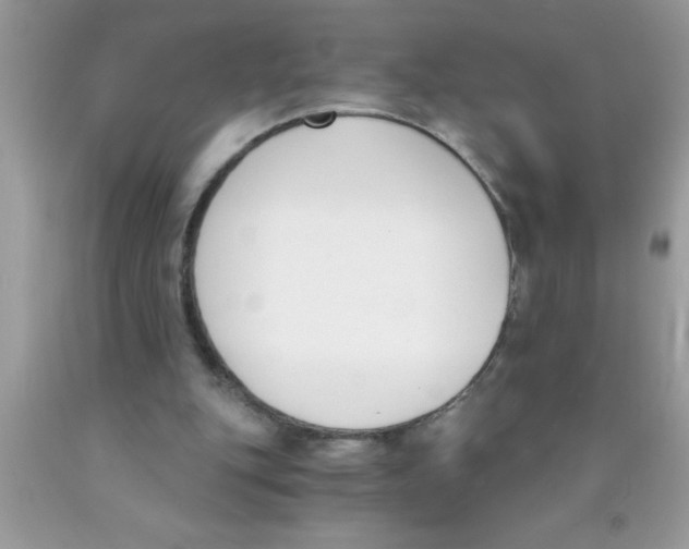 X0000089850151200707262115