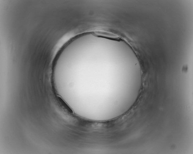 X0000089850152200707262115