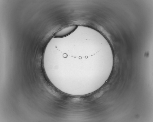 X0000089850153200707262115