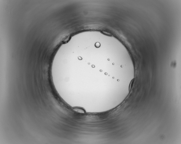 X0000089850154200707262115