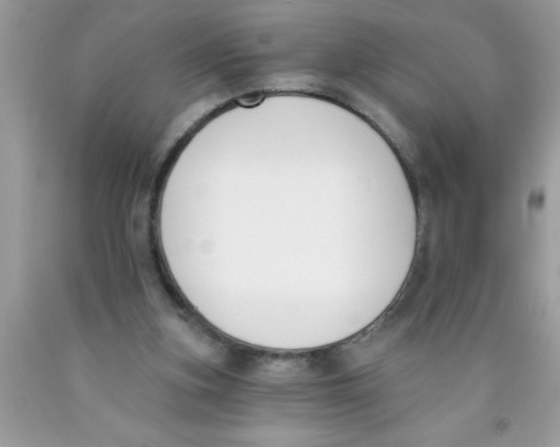 X0000089850155200707262115