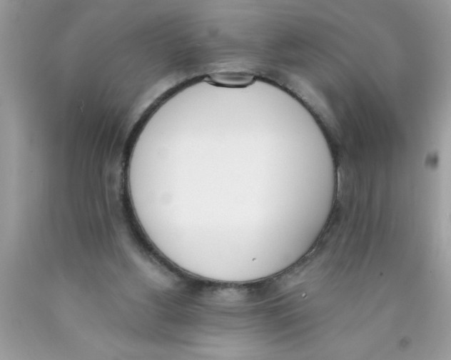 X0000089850156200707262115