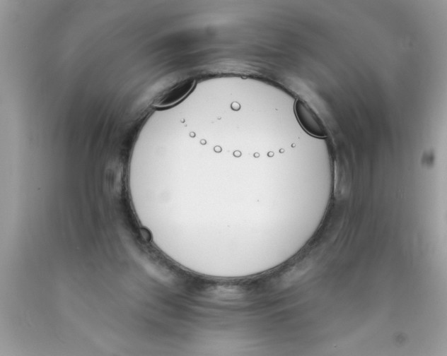 X0000089850157200707262115