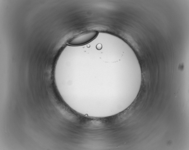 X0000089850159200707262115