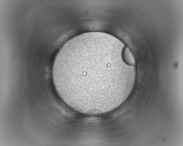 X0000089850161200707262115