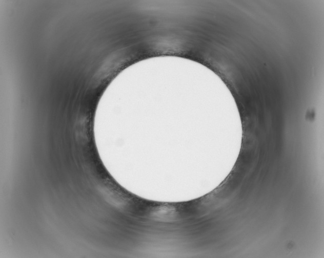 X0000089850162200707262115