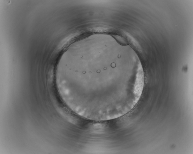 X0000089850163200707262115