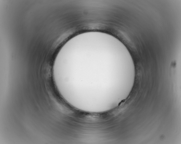 X0000089850164200707262115